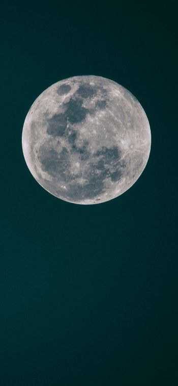 Обои 1125x2436 полнолуние, луна, ночное небо