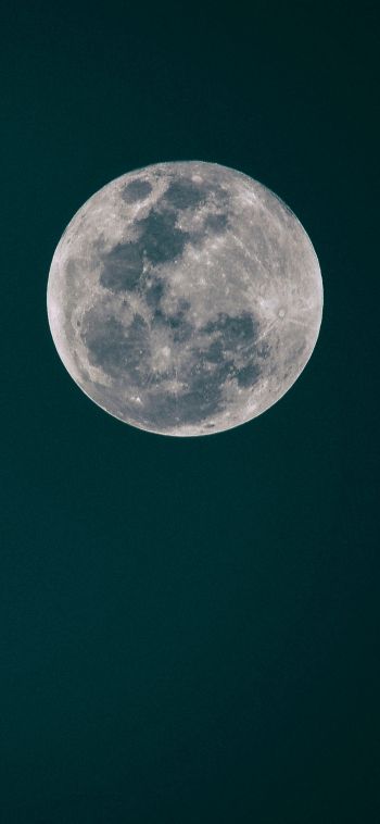 Обои 1080x2340 полнолуние, луна, ночное небо