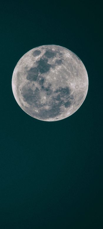 Обои 720x1600 полнолуние, луна, ночное небо