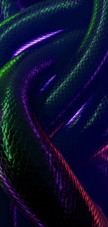 snake, 3D, dark Wallpaper 720x1520