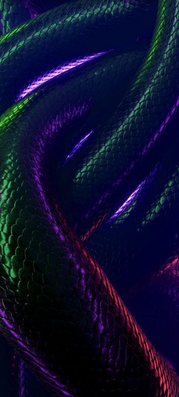 Обои 1080x2400 змея, 3D, темный