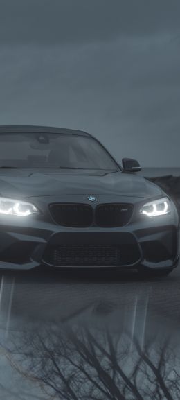 BMW, sports car, gray Wallpaper 1080x2400
