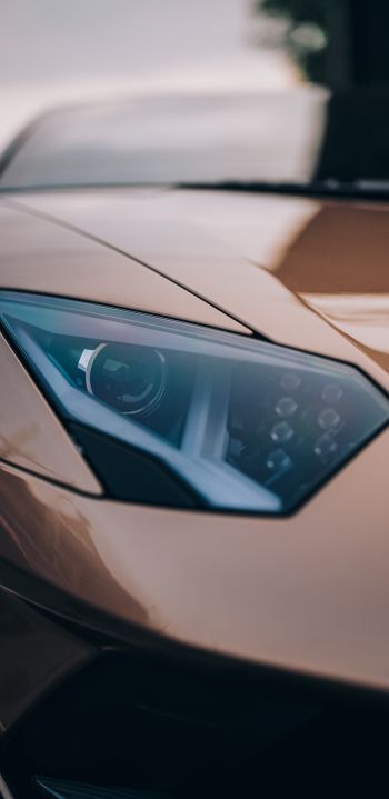 Lamborghini days, headlight, brown Wallpaper 1080x2220