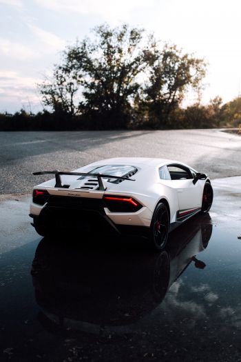 white Lamborghini, sports car Wallpaper 640x960