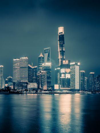 Shanghai, night city, dark Wallpaper 2048x2732