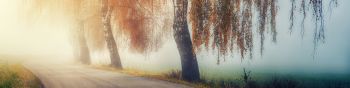 autumn, road, sunlight Wallpaper 1590x400