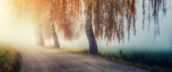 autumn, road, sunlight Wallpaper 3440x1440