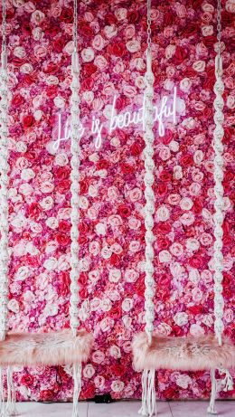 roses, aesthetic pink Wallpaper 640x1136