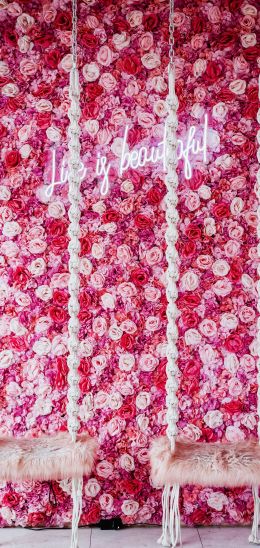 roses, aesthetic pink Wallpaper 720x1520