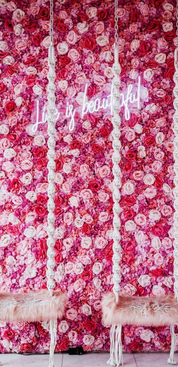 Обои 1440x2960 розы, эстетика розового