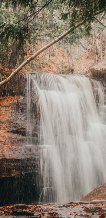 waterfall, rain, landscape Wallpaper 1080x2220