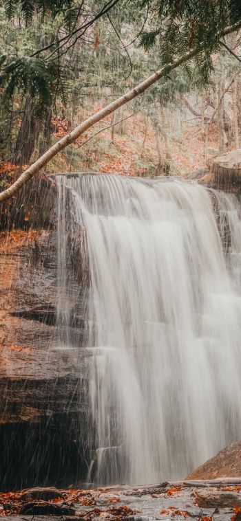 waterfall, rain, landscape Wallpaper 1080x2340