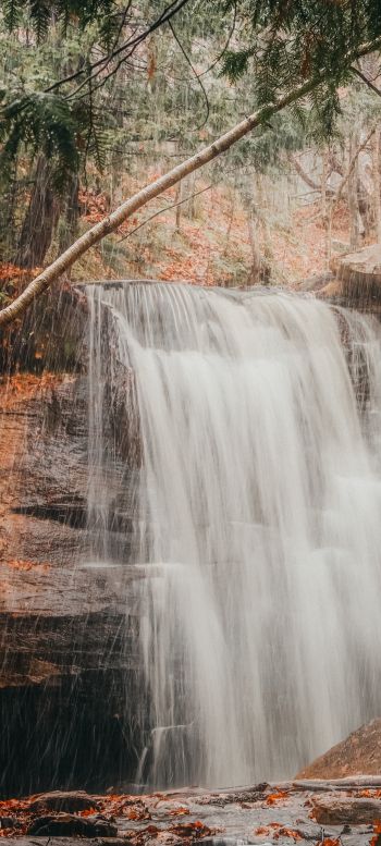 waterfall, rain, landscape Wallpaper 1080x2400