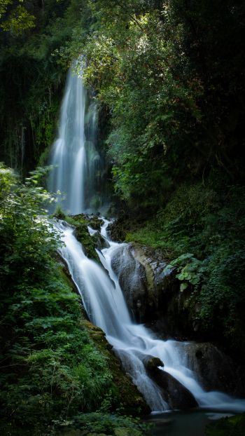 Обои 750x1334 водопад, река, зеленый