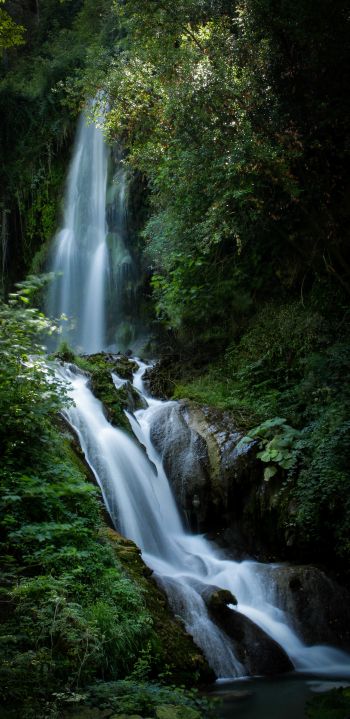 waterfall, river, green Wallpaper 1080x2220