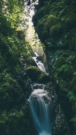 waterfall, river, green Wallpaper 640x1136
