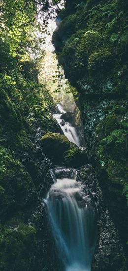 waterfall, river, green Wallpaper 720x1520