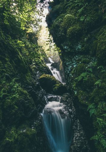 waterfall, river, green Wallpaper 1668x2388