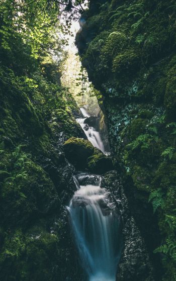 Обои 1752x2800 водопад, река, зеленый