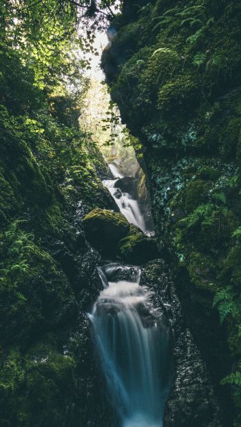 waterfall, river, green Wallpaper 640x1136