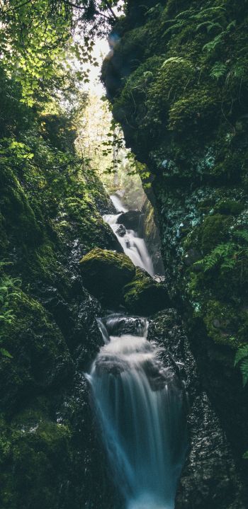 waterfall, river, green Wallpaper 1440x2960