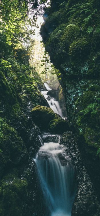 waterfall, river, green Wallpaper 1125x2436