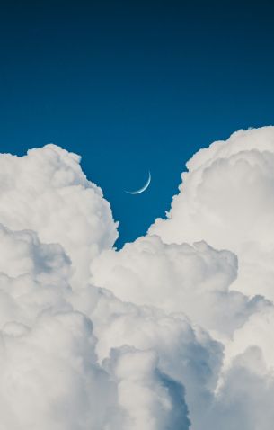 cumulus, blue sky, aesthetics Wallpaper 1804x2828