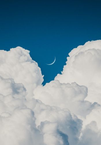 cumulus, blue sky, aesthetics Wallpaper 1668x2388