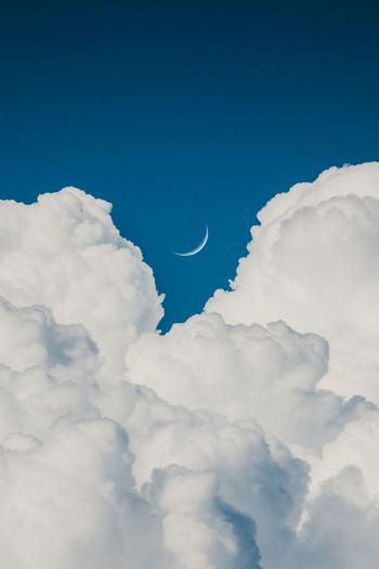 cumulus, blue sky, aesthetics Wallpaper 640x960