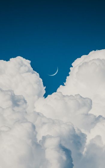 cumulus, blue sky, aesthetics Wallpaper 1600x2560