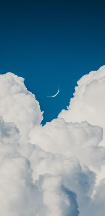 Обои 1080x2220 кучевые облака, голубое небо, эстетика