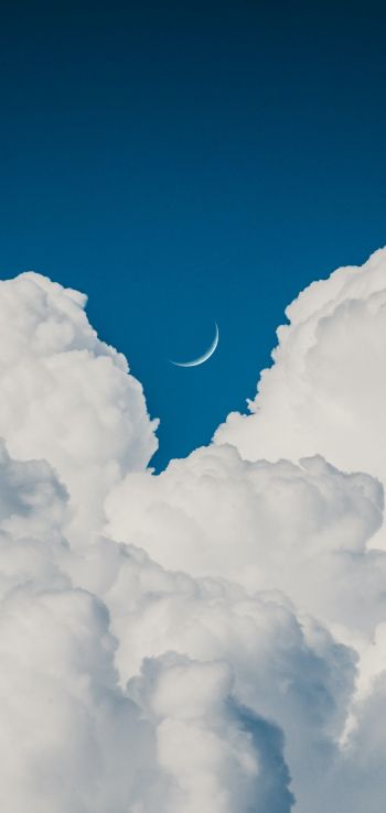 Обои 720x1520 кучевые облака, голубое небо, эстетика