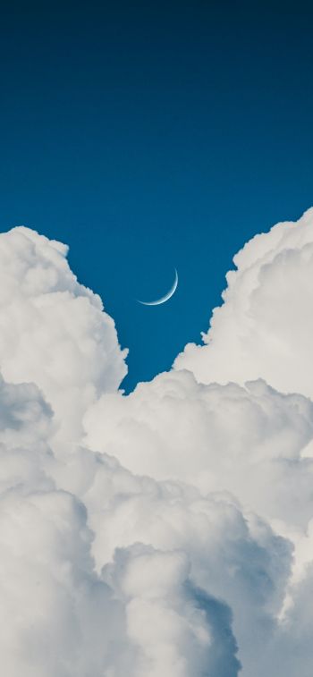 Обои 828x1792 кучевые облака, голубое небо, эстетика