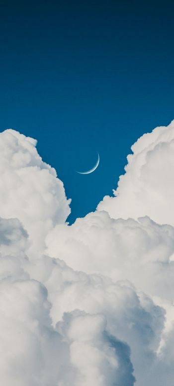 cumulus, blue sky, aesthetics Wallpaper 720x1600