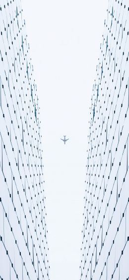 plane, white, light Wallpaper 828x1792
