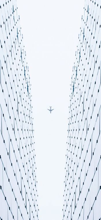 plane, white, light Wallpaper 828x1792