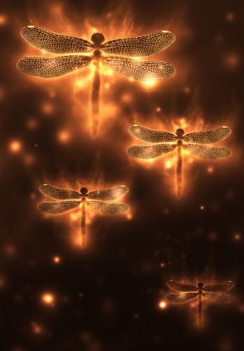 dragonfly, background, lights Wallpaper 1640x2360