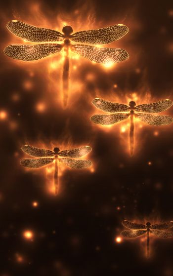 dragonfly, background, lights Wallpaper 1752x2800