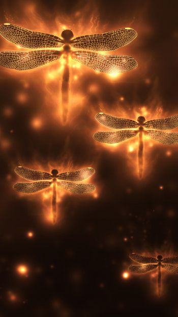 dragonfly, background, lights Wallpaper 640x1136