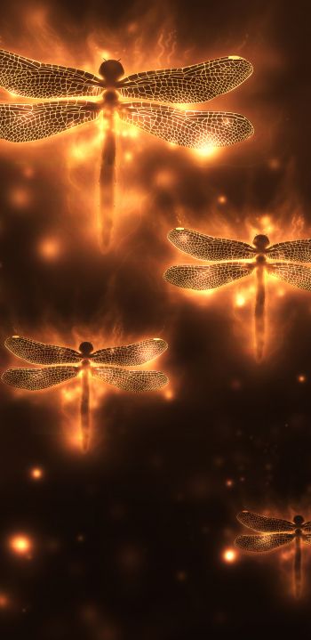 dragonfly, background, lights Wallpaper 1080x2220