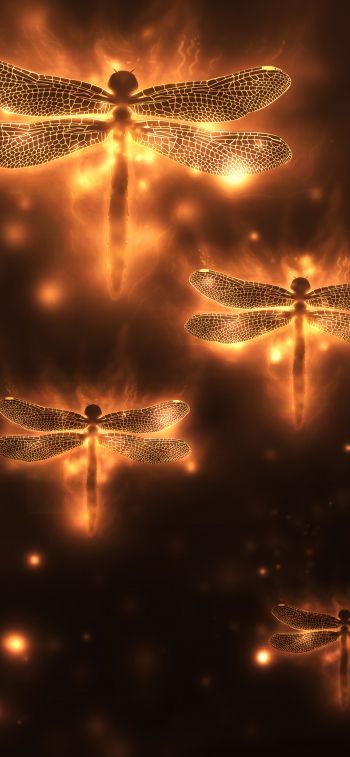 dragonfly, background, lights Wallpaper 1125x2436
