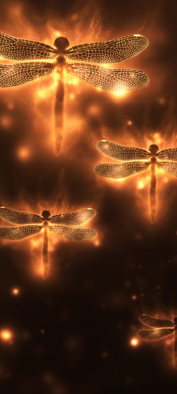 dragonfly, background, lights Wallpaper 1440x3200