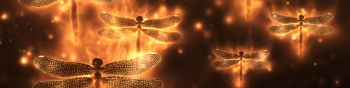 dragonfly, background, lights Wallpaper 1590x400