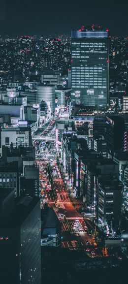 Tokyo, Japan, night city Wallpaper 1440x3200