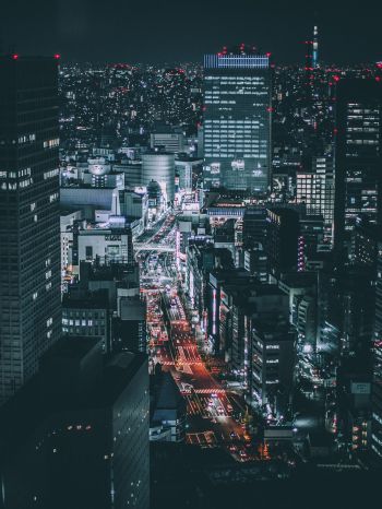 Tokyo, Japan, night city Wallpaper 1668x2224