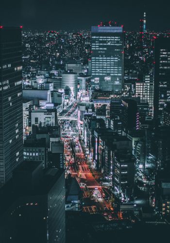 Tokyo, Japan, night city Wallpaper 1668x2388