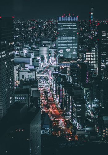 Tokyo, Japan, night city Wallpaper 1640x2360