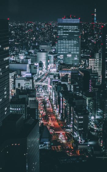 Tokyo, Japan, night city Wallpaper 1200x1920