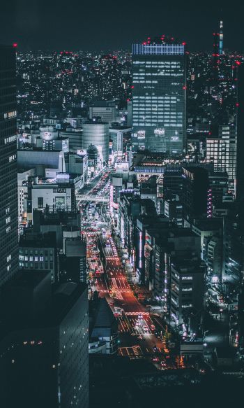 Tokyo, Japan, night city Wallpaper 1200x2000