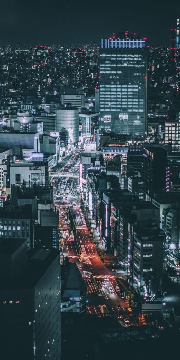 Tokyo, Japan, night city Wallpaper 720x1440